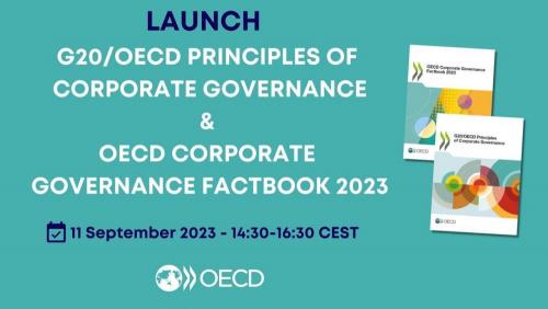 OECD: Leaders Endorse Revised G20/OECD Principles Of Corporate ...